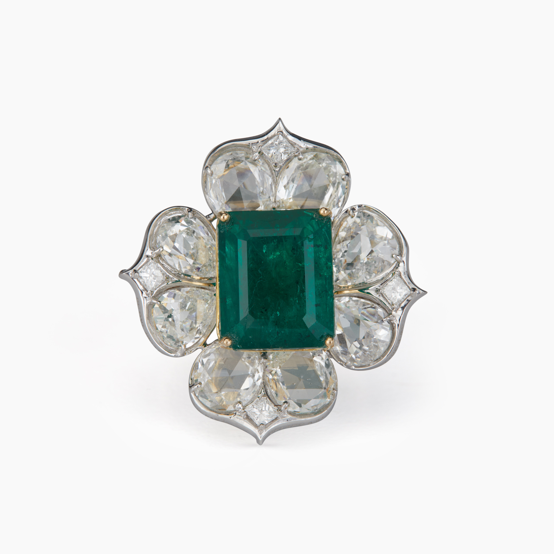 Rosecut's Aranya